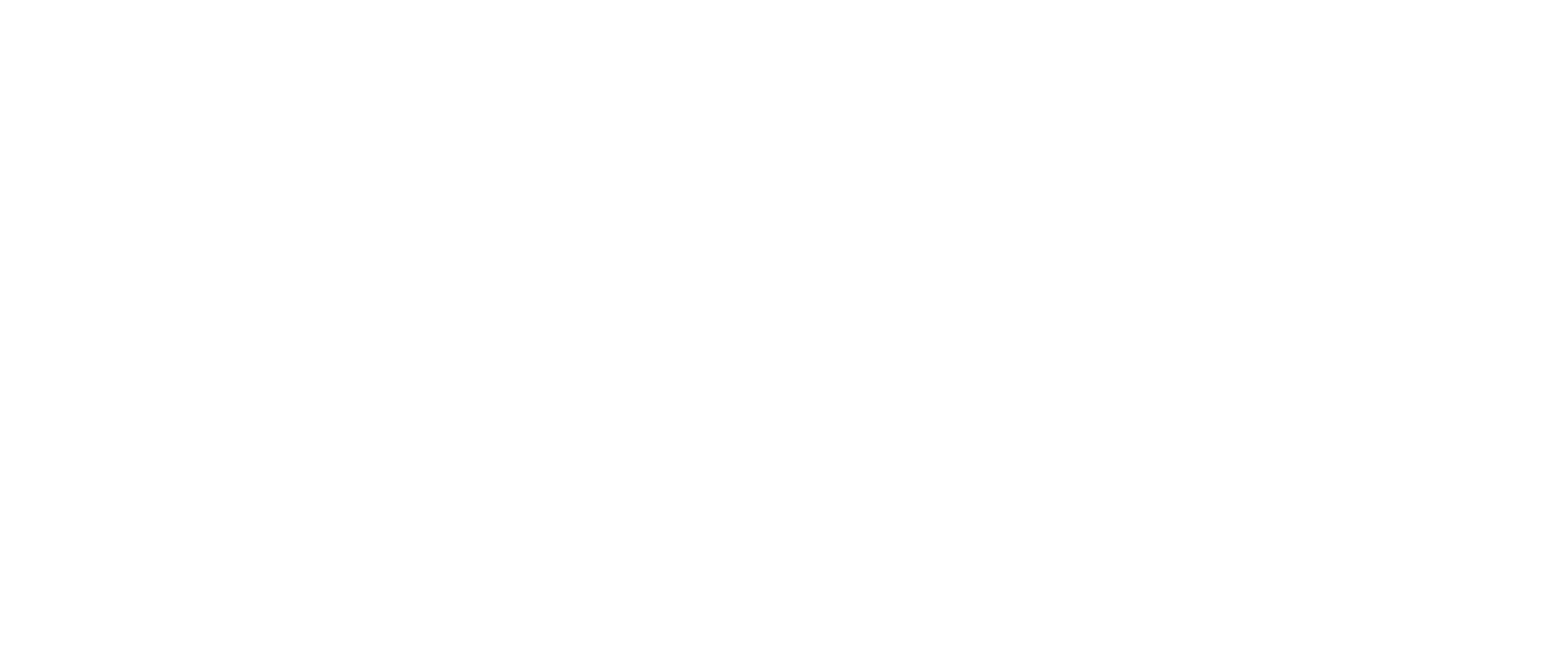 White logo – no background